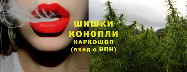 стафф Нефтекумск