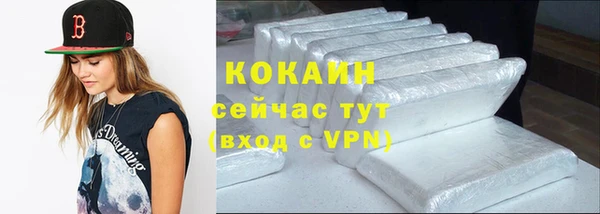 тгк Нея
