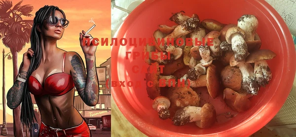 СК Нефтегорск